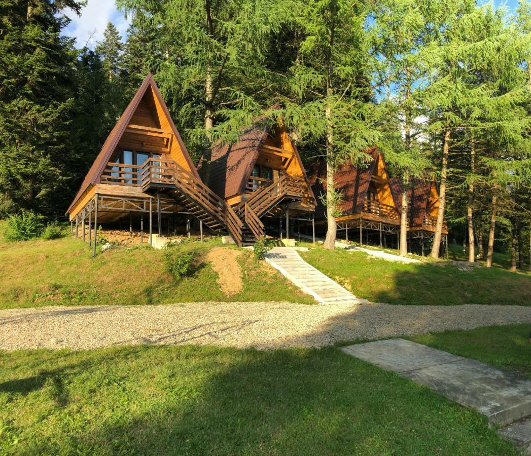 Karpatskyy Villa Rozluch Exterior photo